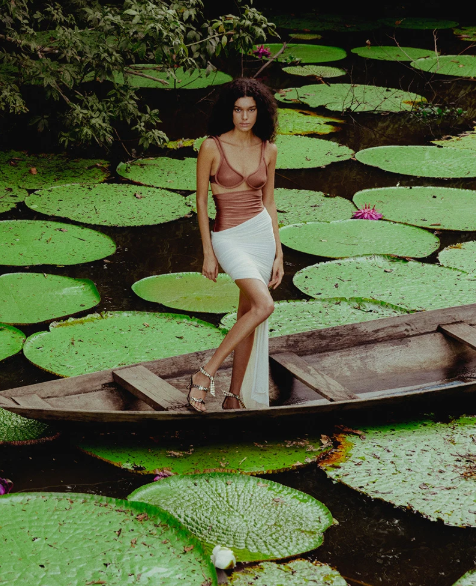 The power of Amazonia